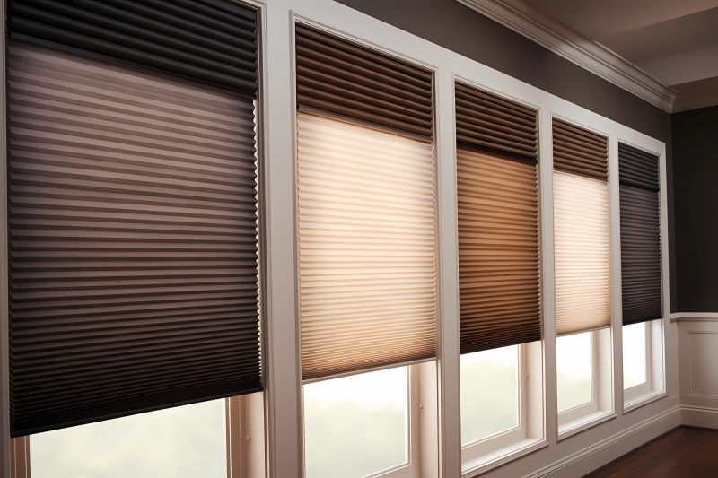 Cellular Blinds Installation in Denver County, CO