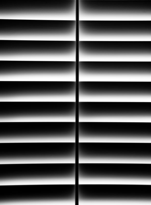 Interior Shutters Installation in Longmont, CO