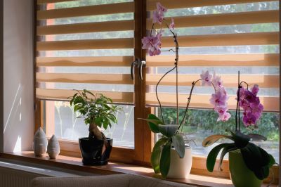 Plantation Blinds Repair in Arvada, CO
