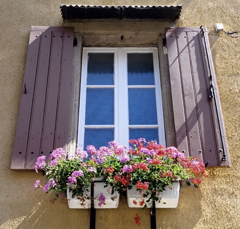 Shutter Handle Repair in Denver County, CO