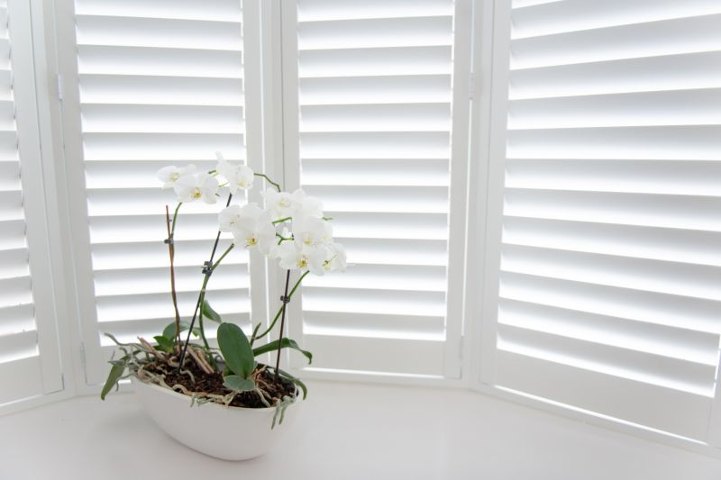 Elegant Plantation Shutters